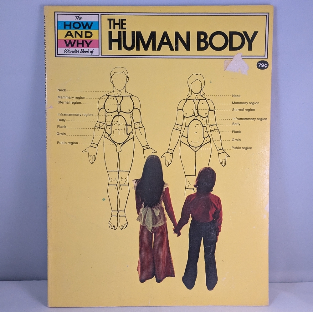 Vintage The How and Why Wonder Book of the Human Body
